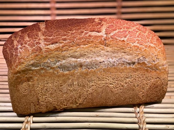 Bruinbrood Tijger
