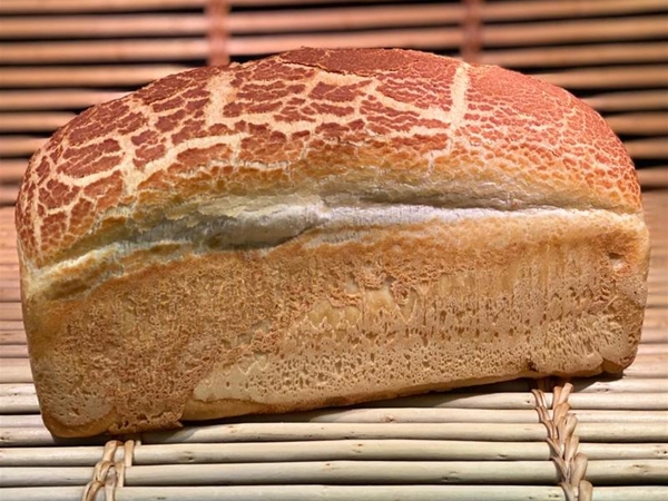 Witbrood Tijger